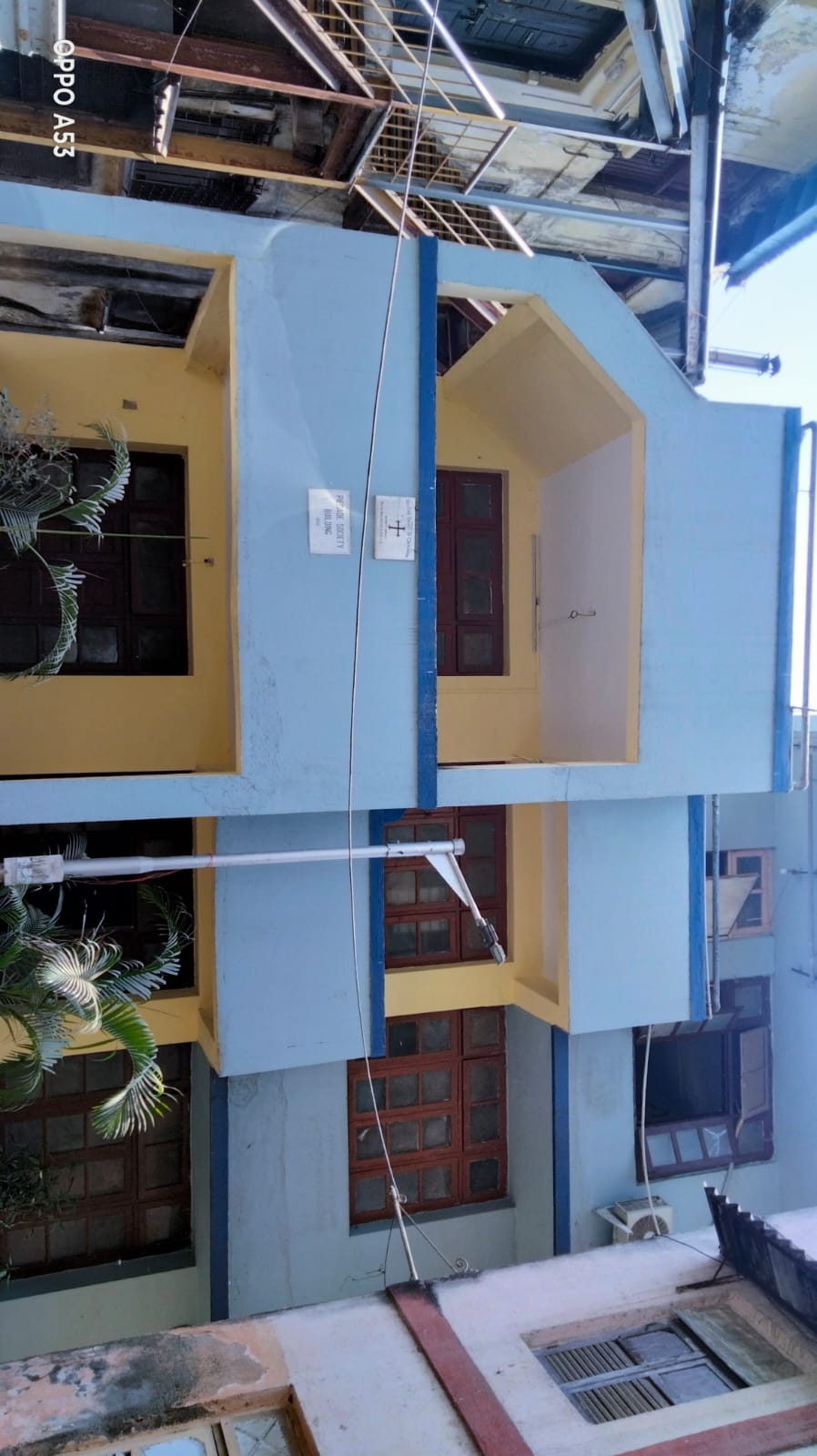 Before and After Cleaning